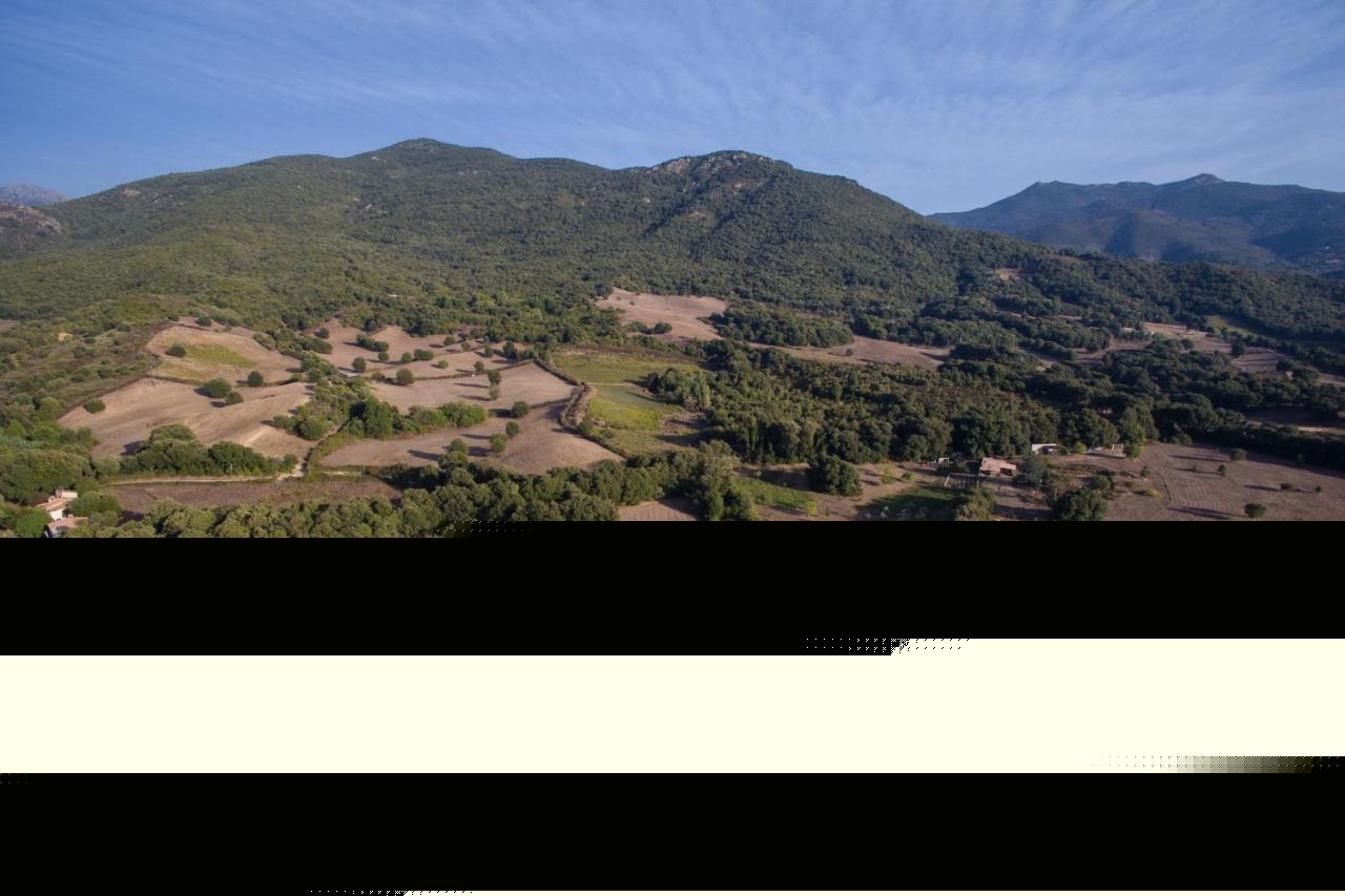 Domaine Finili Villa Cauro Ngoại thất bức ảnh